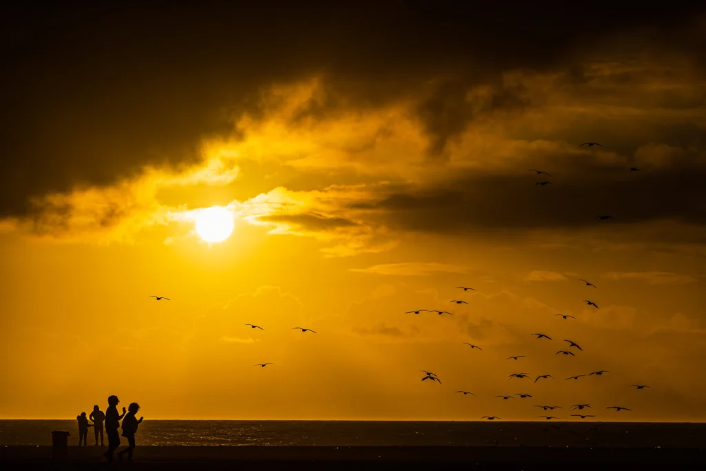 My first ever visit to Venice Beach. Shot with a Canon MkIV I was testing (don’t tell Nikon).