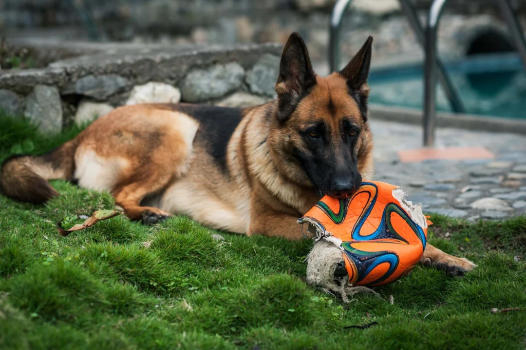 Futball is life!