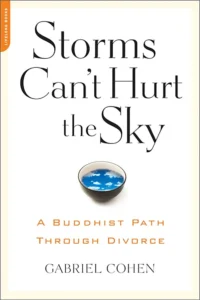 Cover of The Storms Can't Hurt the Sky